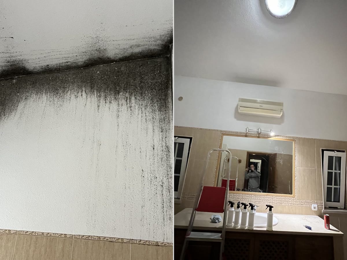 Remoção de bolor antes e depois