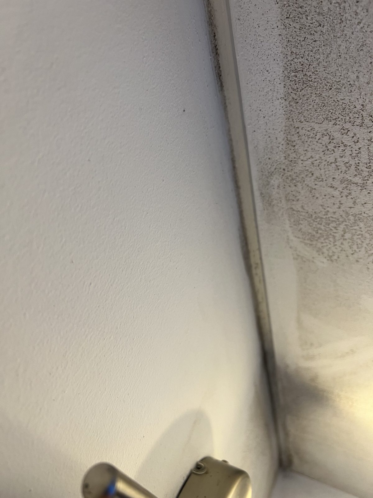 Bolor numa caixa de escadas em Olhão